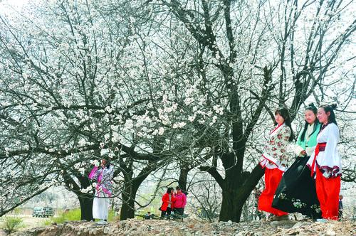 意甲联赛标志与比赛场景